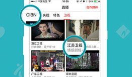 免费直播看片的APP