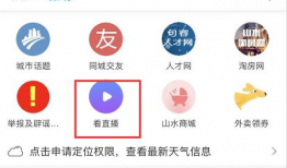 山水t91直播,探索智能出行新境界